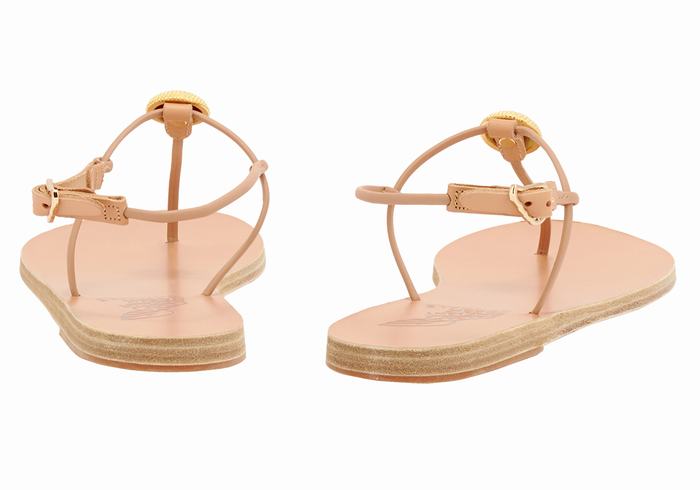 Sandales Bride Arrière Ancient Greek Sandals Dimitra Flip Flop   | YRC-0314856